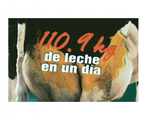 Fotograma del documental Ubre Blanc